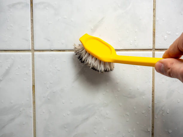 Best Post-Flood Mold Remediation in Eagle Crest, OR